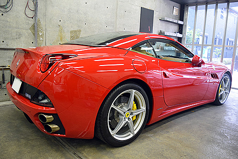 �t�F���[���E�J���t�H���j�A����납��B�e