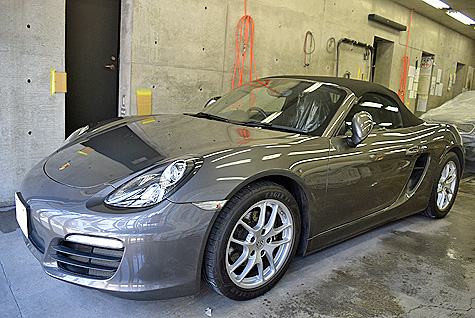 �|���V�F��{�N�X�^�[(981)